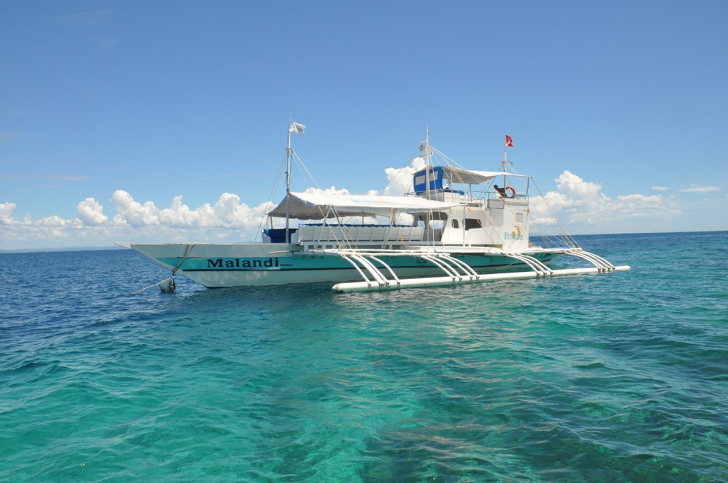 Mactan Marine Sanctuary Hopping | Shared Tour in Cebu