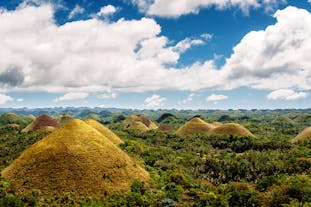 Sightseeing in Bohol | Chocolate Hills Tour with Lunch Cruise