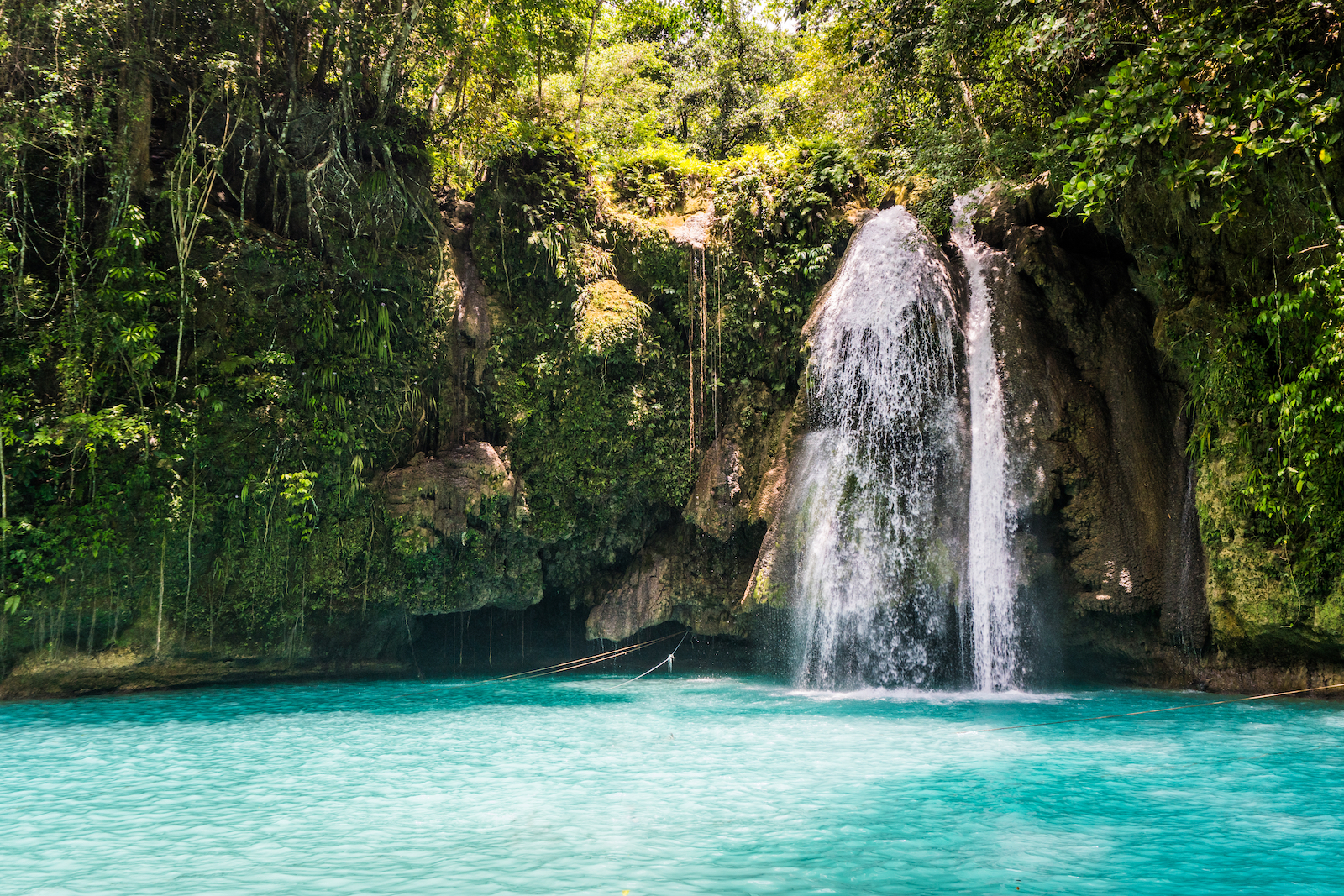 Kawasan Falls Cebu Day Tour | With Molave Milk Station Si...