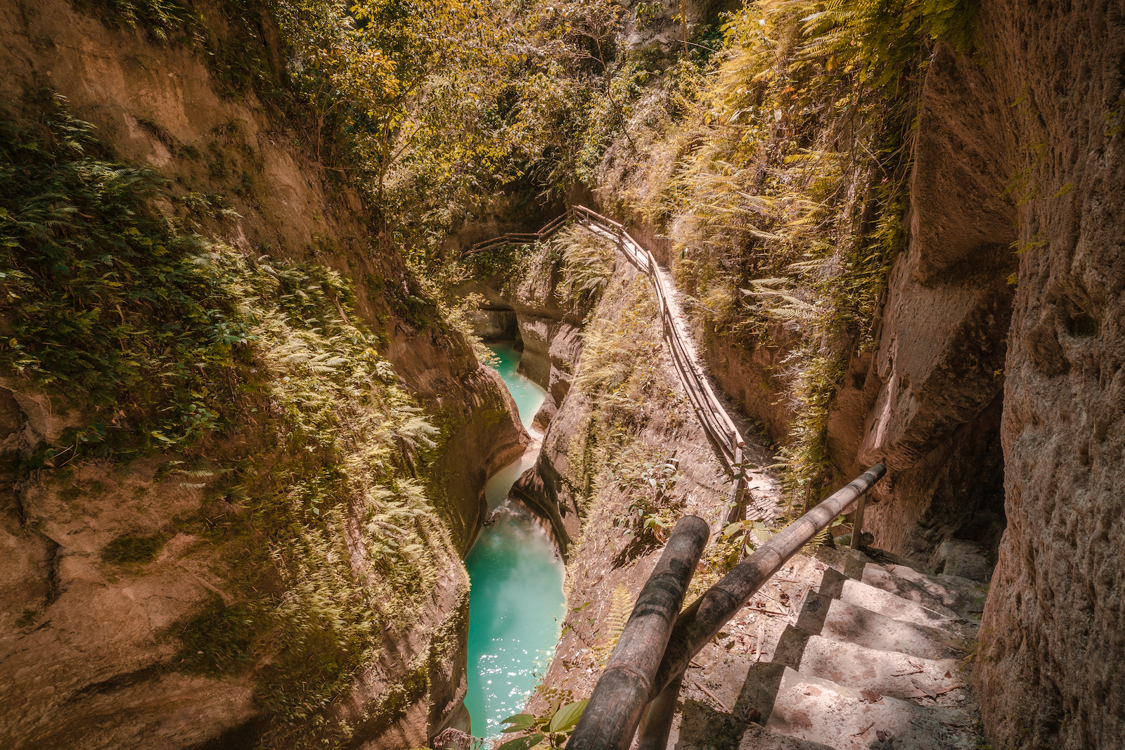 Badian Canyoneering & Kawasan Falls Cebu Day Tour with ...