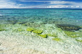 Clear waters of Balicasag Island