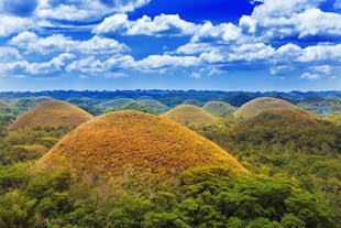 A view of Bohol's Chocolate Hills