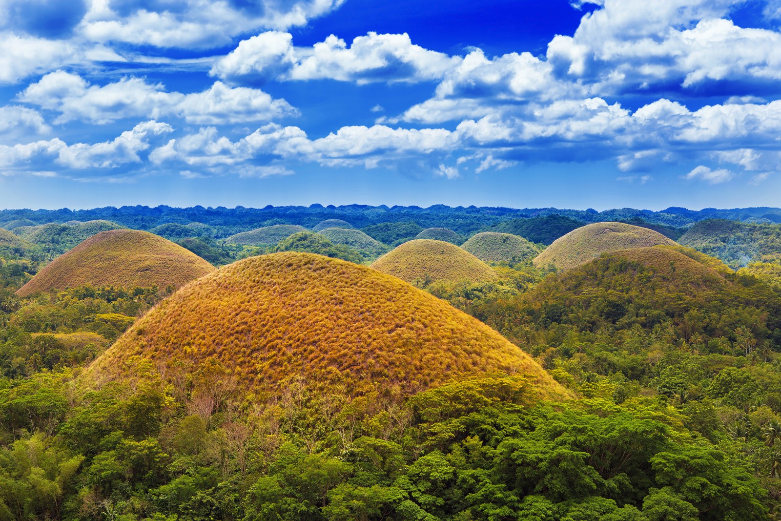 The 5 Facts About Bohol S Chocolate Hills That You Mi - vrogue.co