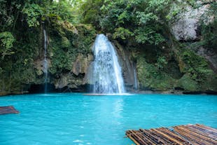 Kawasan Falls Cebu Private Day Tour I with Transfer &  Lunch