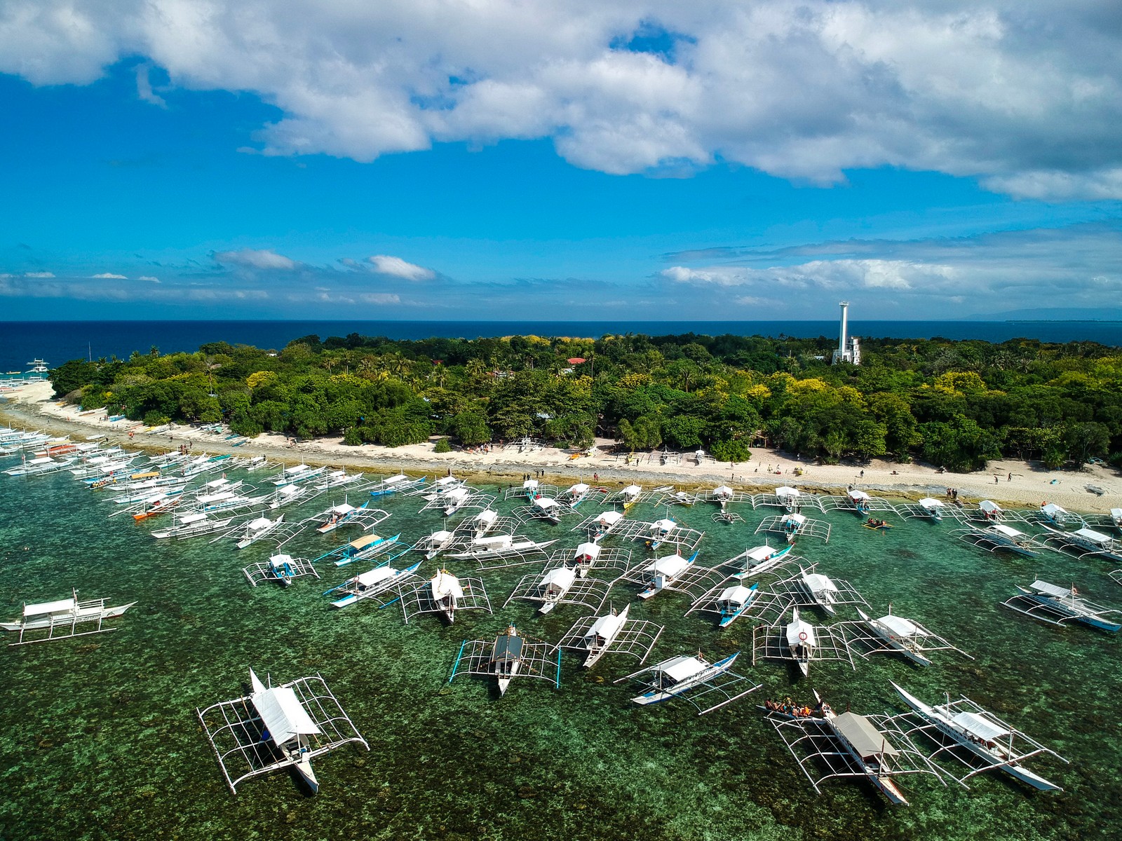 Balicasag Island Dive Tour In Bohol | With Lunch And Tran...