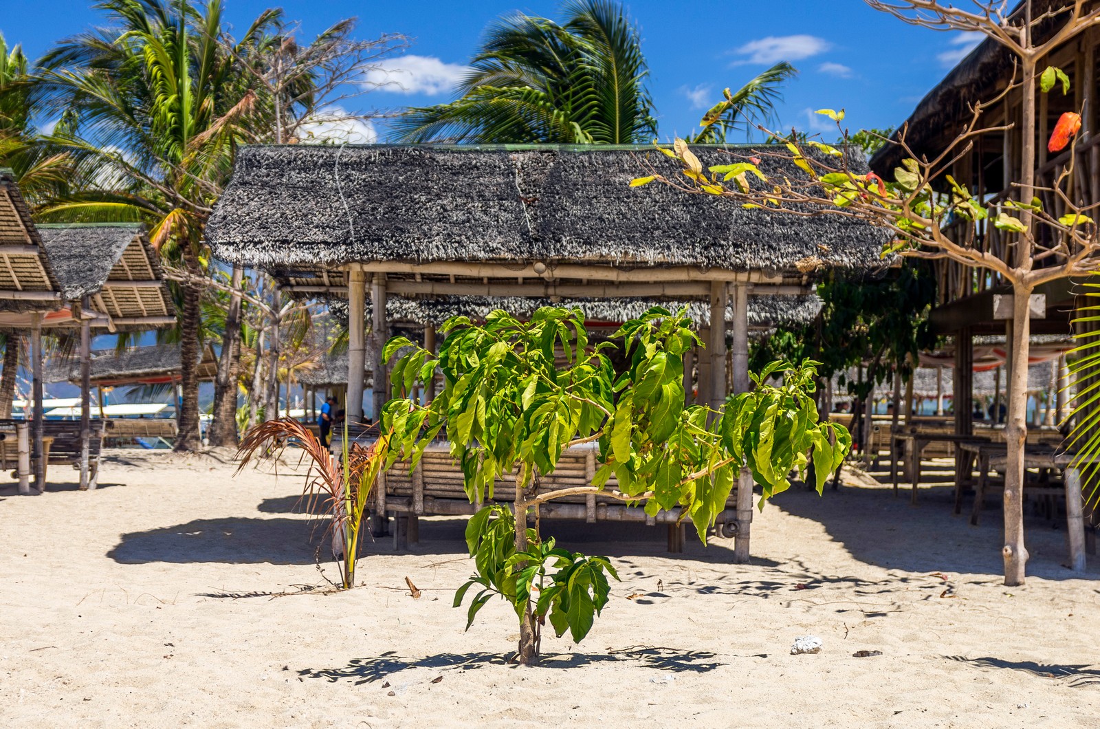 Palawan Puerto Princesa Honda Bay Island Hopping Tour With Lunch | Luli ...