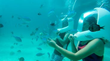 Tourists with Tropical Fish during Aquanaut Helmet Diving in Boracay