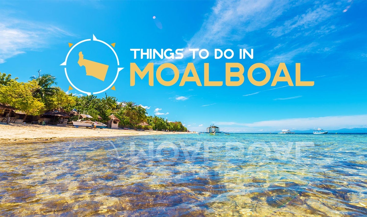 12 Best Things To Do In Moalboal, Philippines  Poland vacation, Places to  travel, Poland travel