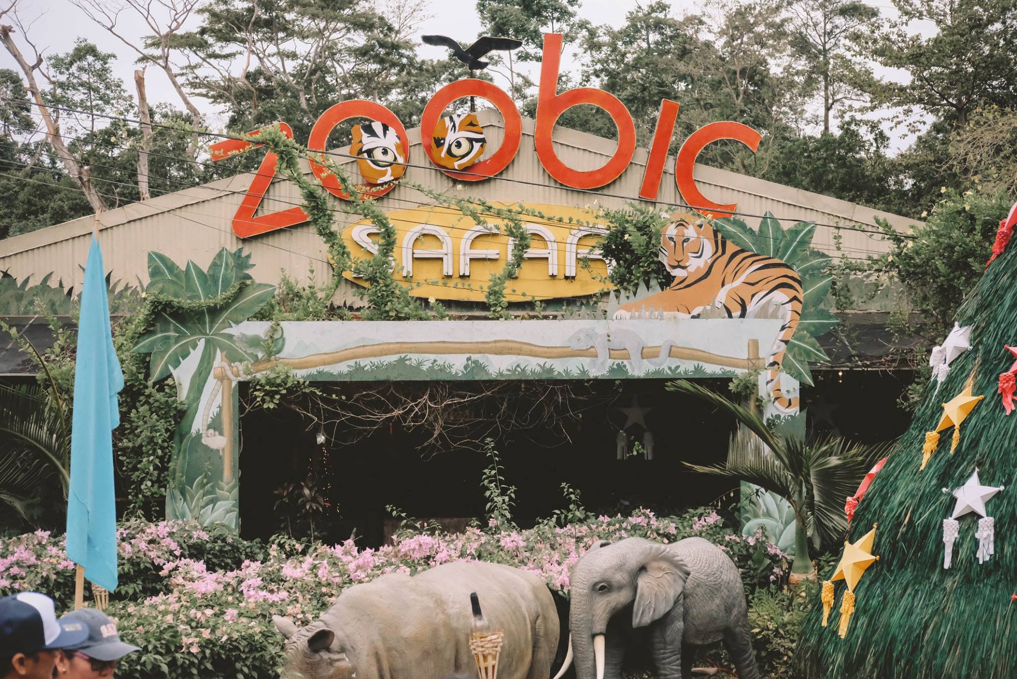 hotel in zoobic safari