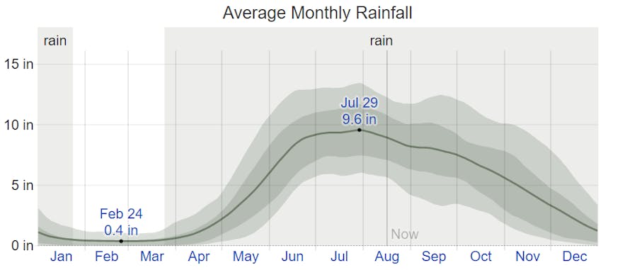 Average monthly rainfall in San Vicente, Palawan