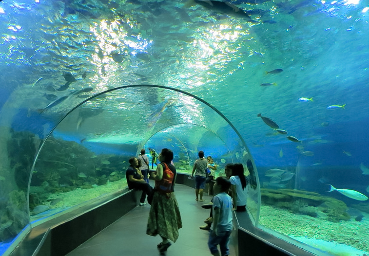 tourist attractions near manila ocean park