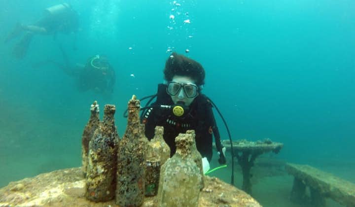 Anilao Diving Tour in Batangas | With Transfers from Manila