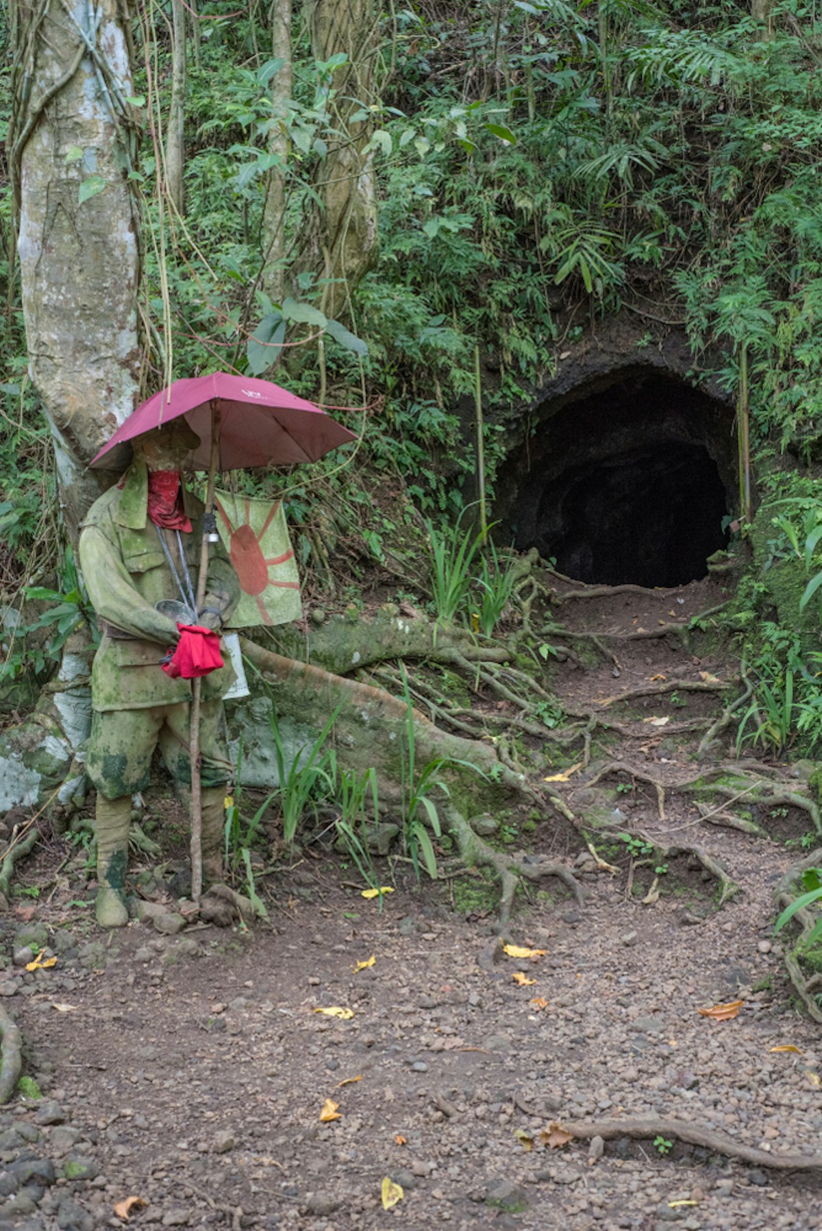 Albay Top Tourist Spots Guided Sightseeing Tour With Lunc