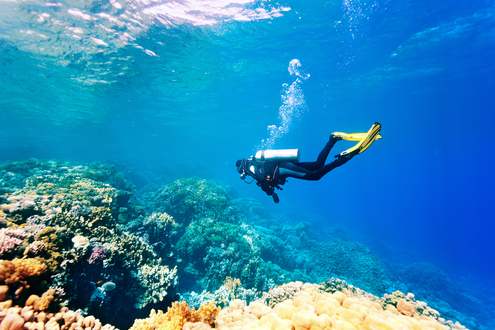adventure dive and travel