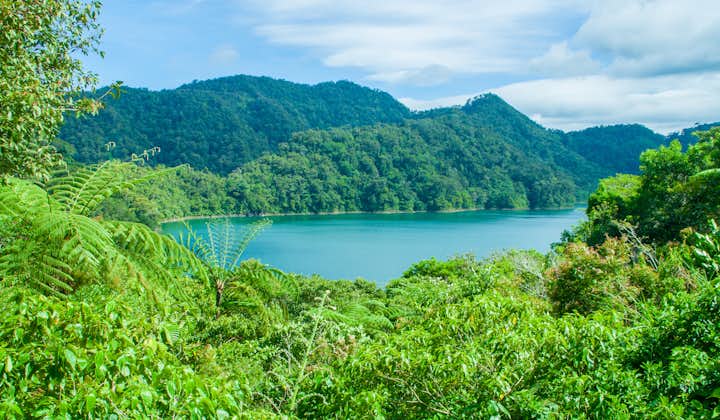 Lake Danao & Pineapple Plantation Leyte Day Tour | With Lunch