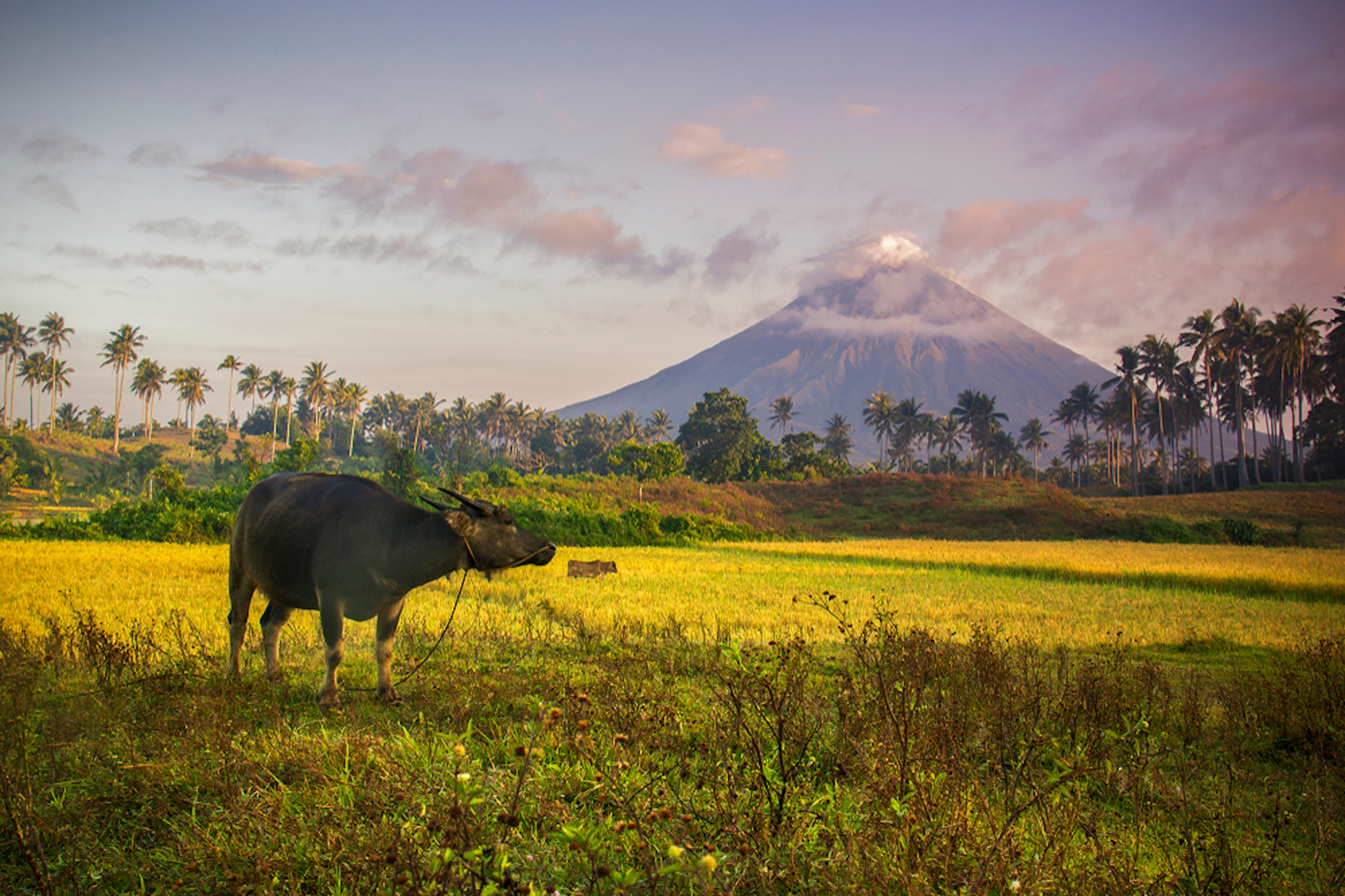 Albay Top Tourist Spots Guided Sightseeing Tour with Lunc...