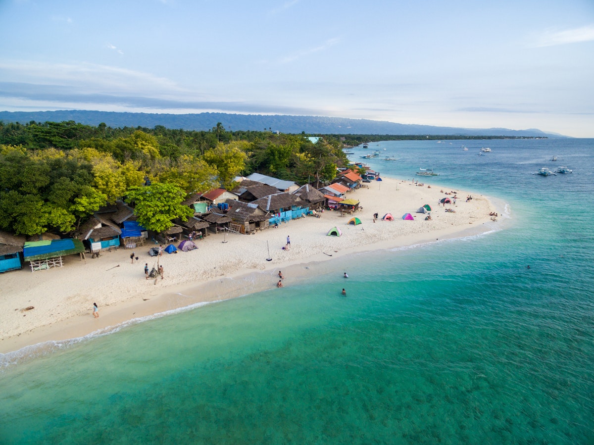 Cebu Moalboal Sardine Run, Pescador Island & Turtle Bay Tour with Lunch ...