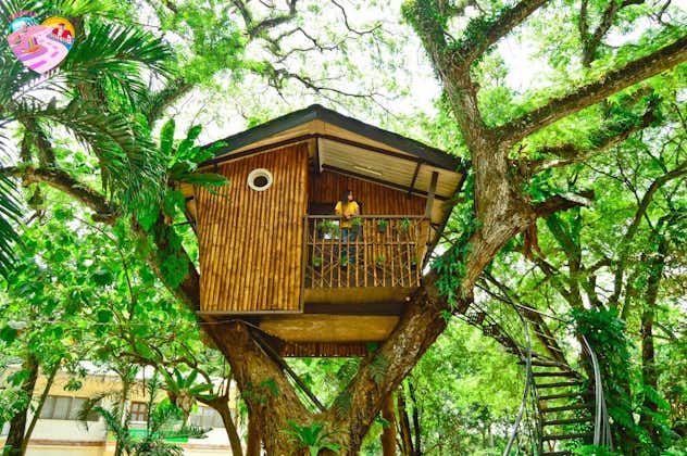 Tree House in Zamboanga City