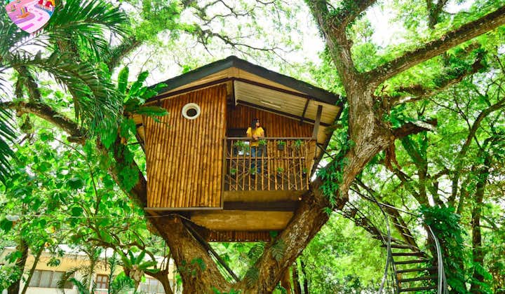 Tree House in Zamboanga City