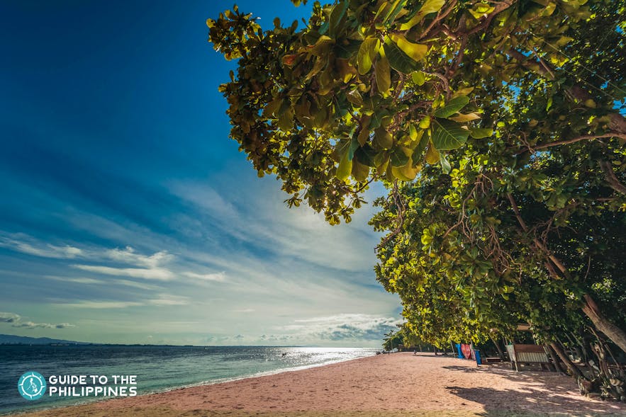Pink Beach in Great Santa Cruz Island, Zamboanga City, Philippines