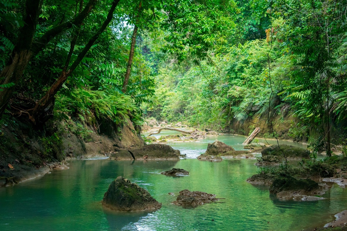 Bohol Waterfalls Private Day Tour | With Lunch and Transf...