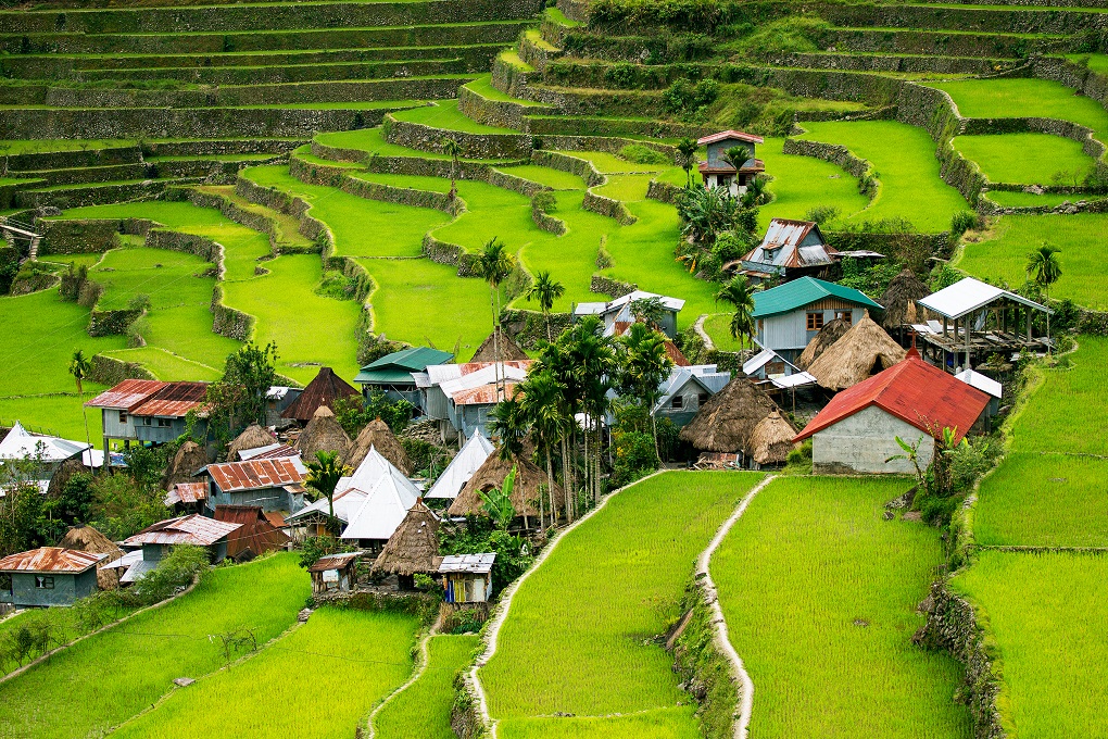 Batad Rice Terraces Ifugao Guided Trekking Tour