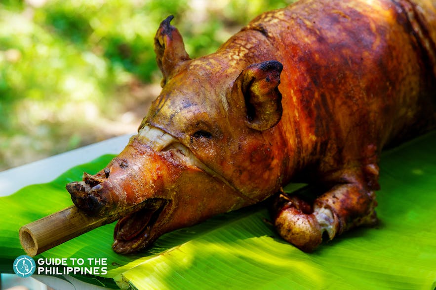 Famous Lecon or roasted pig is popular in Cebu, Philippines