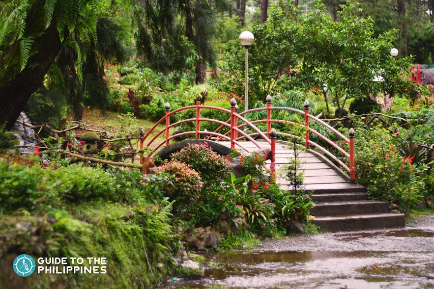 bridge inside the baguio botanical garden