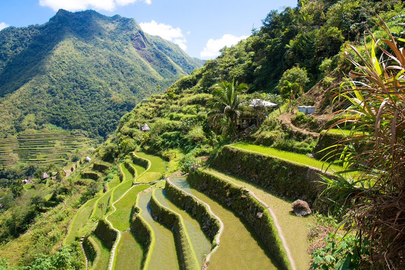 Hapao Rice Terraces Guided Trekking Tour