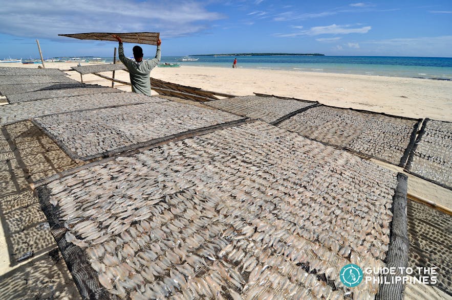 Danggit, a kind of dried fish which comes from Bantayan Island