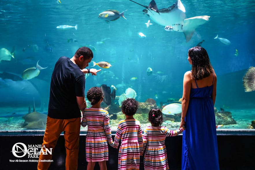 一家人在马尼拉海洋公园观看鱼群