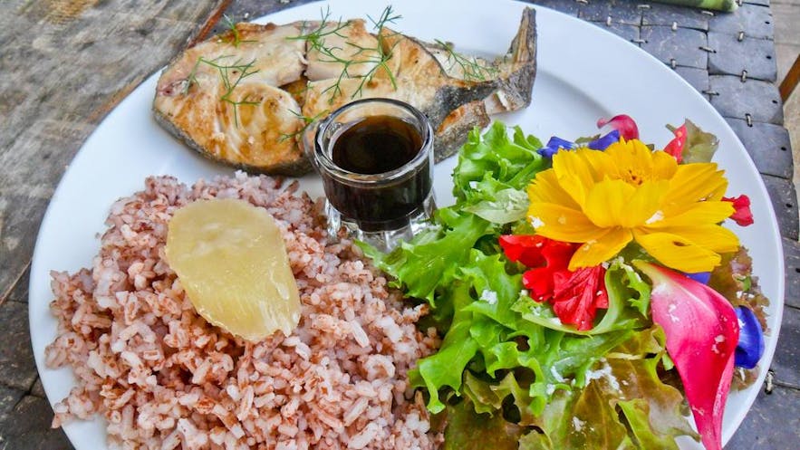 Fish and brown rice ate Bohol Bee Farm Resort
