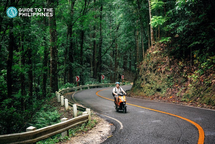 오토바이를 타고 인공 빌라 숲을 지나는 여행자
