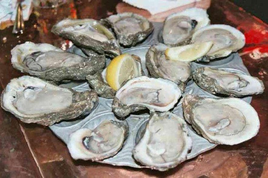 Fresh oysters from Cambuhat Oyster Farm in Bohol, Philippines