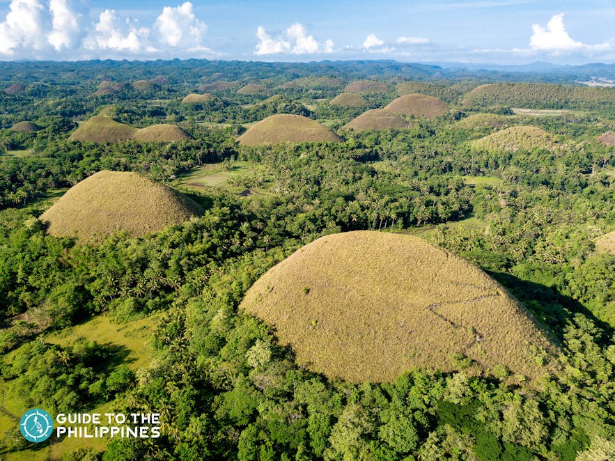 The famous Chocolate Hills in Bohol, Philippines