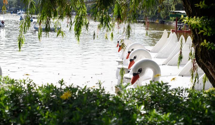 Swan boating at Burnham Park in Baguio
