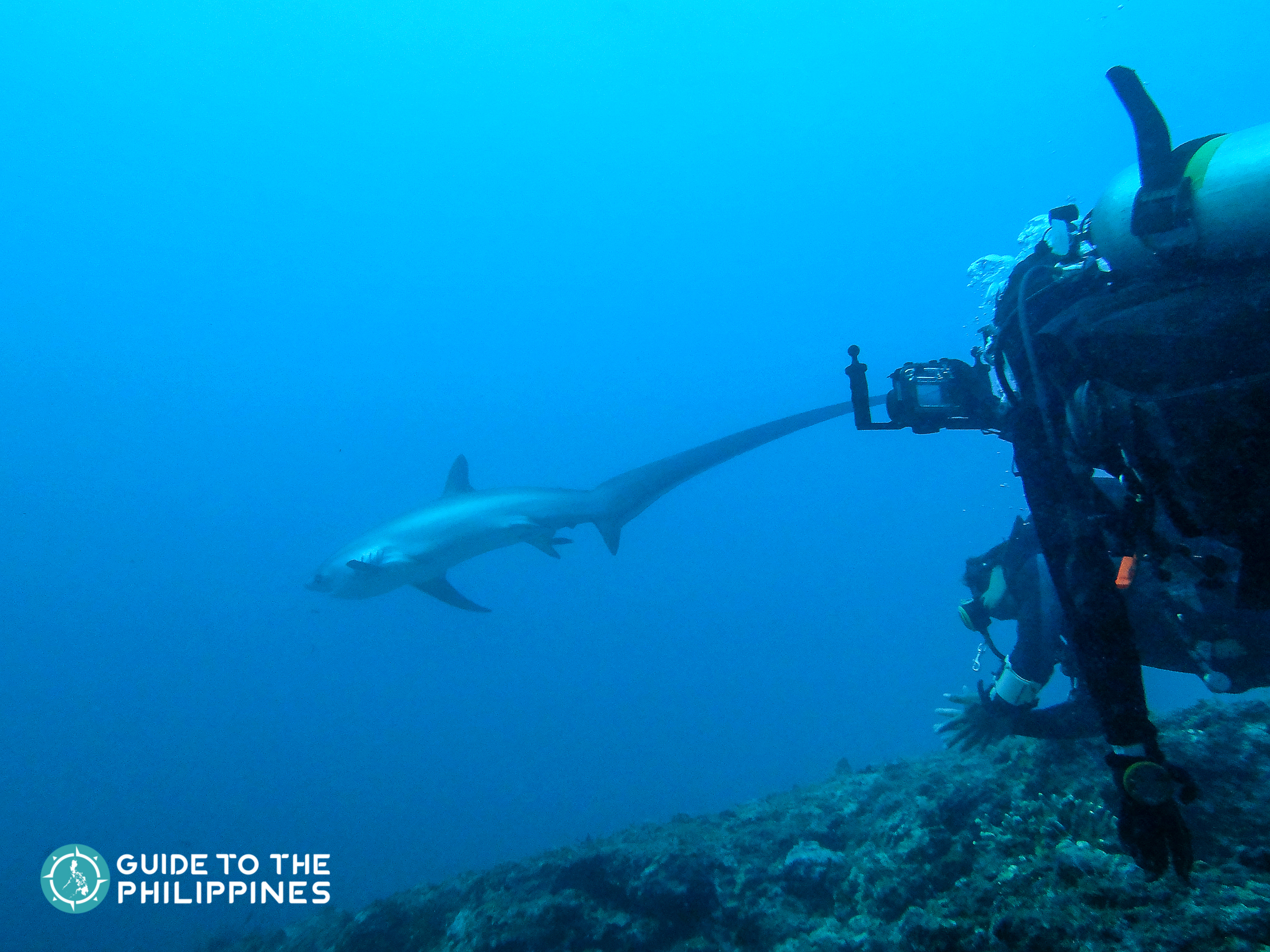 Top Things To Do In Malapascua Island: Thresher Sharks Diving & Beaches ...