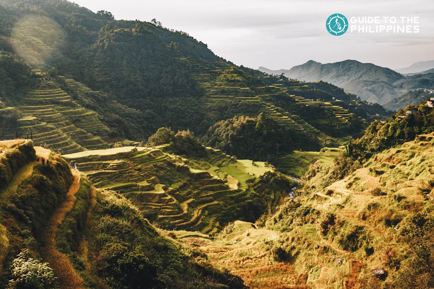 Kapay-aw Rice Terraces in Sagada, Mountain Province