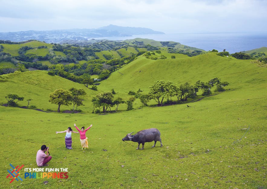 Travelers enjoying the view and taking photos at the Vayang Rolling Hills with a carabao in the side