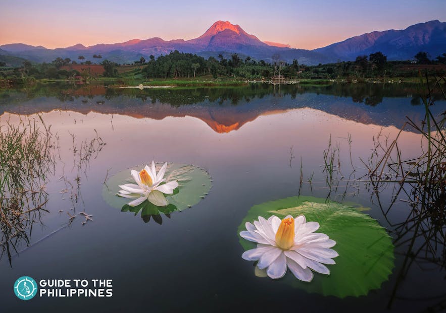 Mount Apo in Davao City is touted as the King of Philippine Peaks