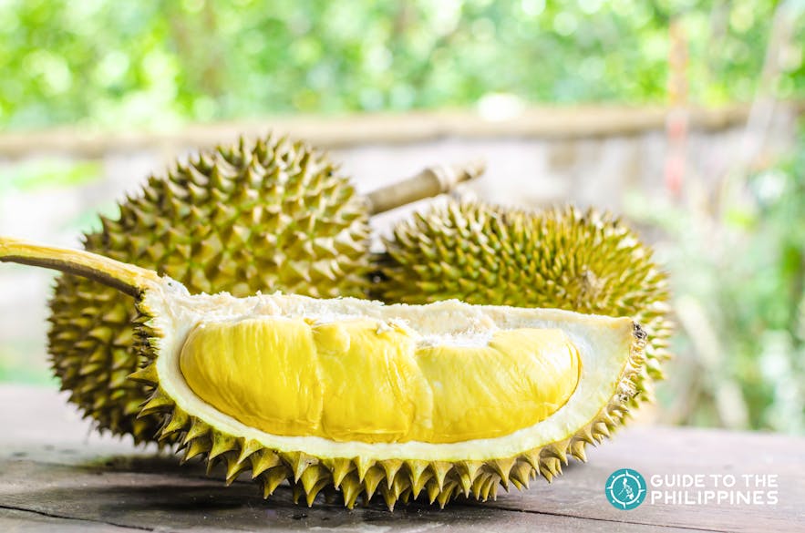 Durian showing it's thick savory-sweet yellow meat