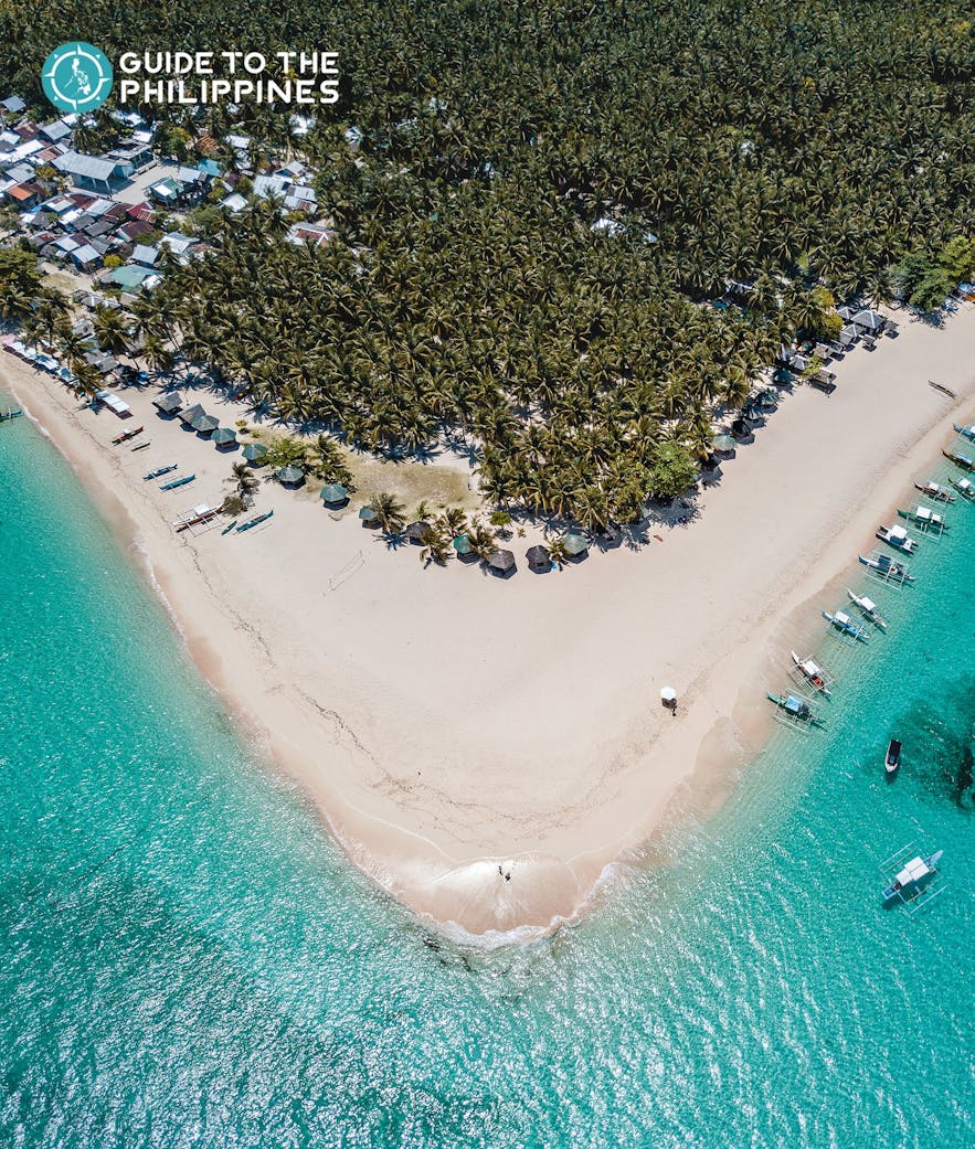 Top view of Daku Island's beach and coconut trees