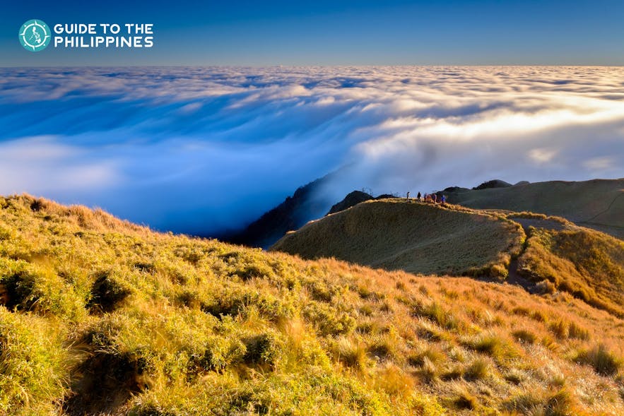 Sea of clouds at Mt. Pulag