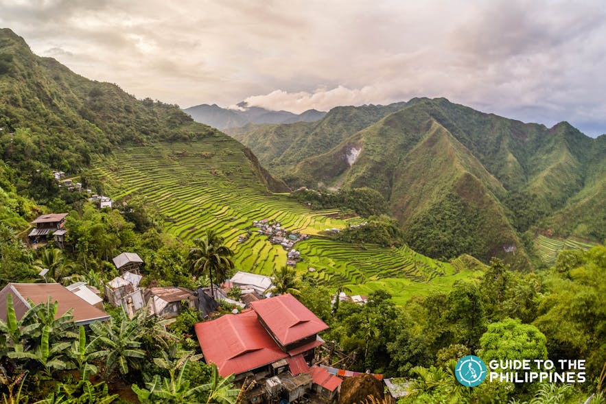 Aerial view of Batad's towering rice terraces
