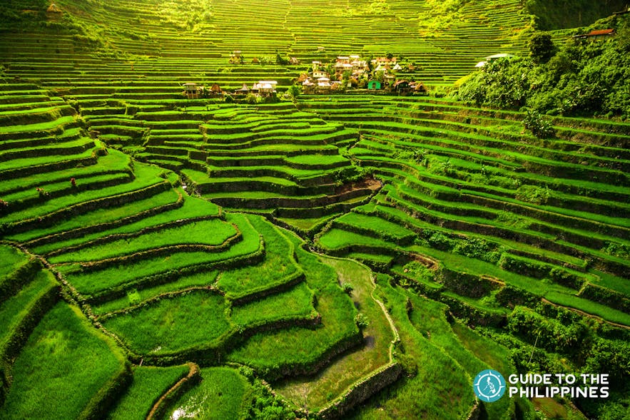 UNESCO World Heritage Batad Rice Terraces in Northern Luzon, Philippines