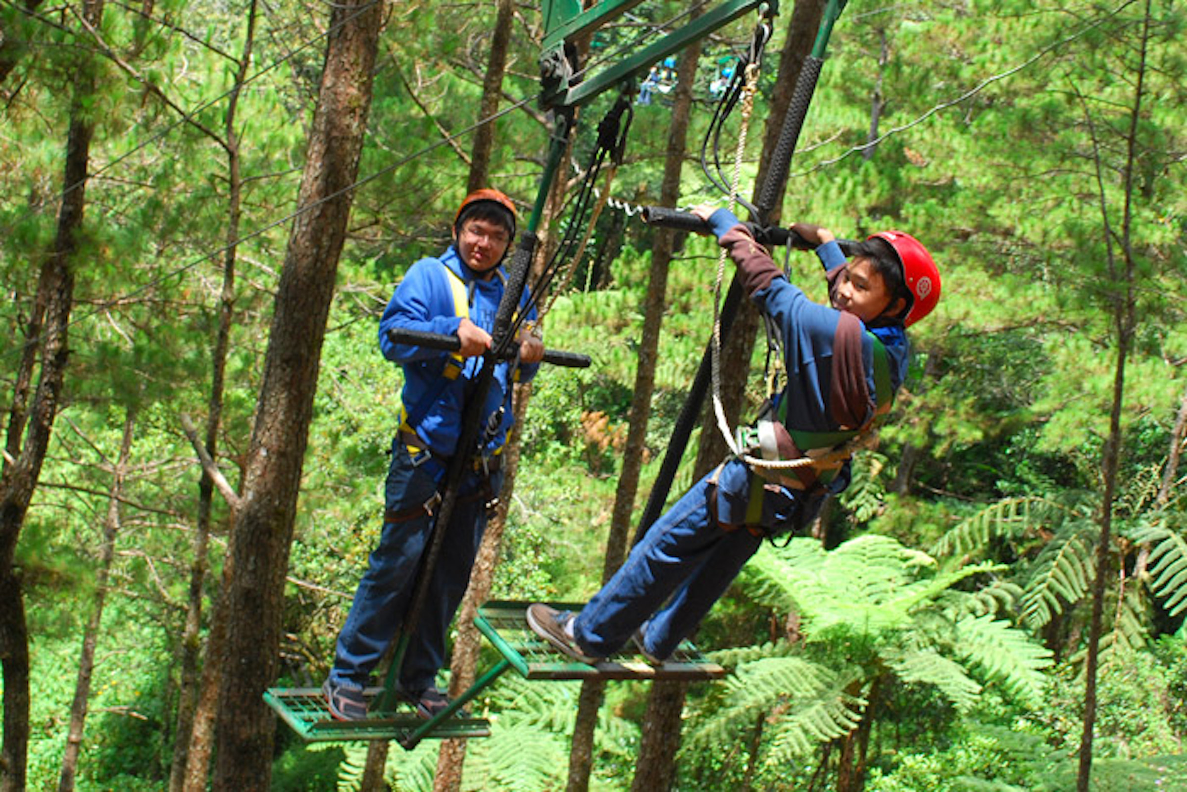 Baguio Tree Top Adventure Silver Surfer Ride | Guide to t...