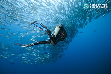 7 Most Incredible Diving Spots in the Philippines 