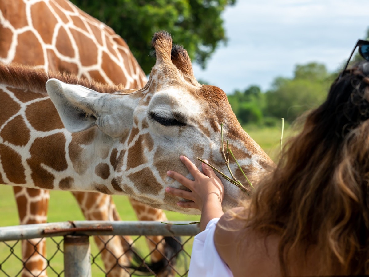 Calauit Safari Coron Full-Day Tour | With Picnic Lunch