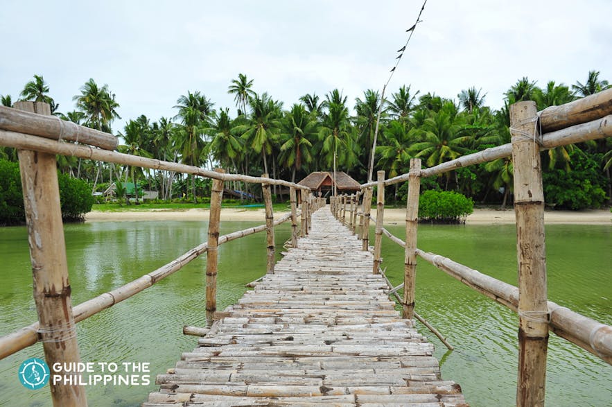 Walkway to Obo-ob Mangrove Garden of Bantayan Island