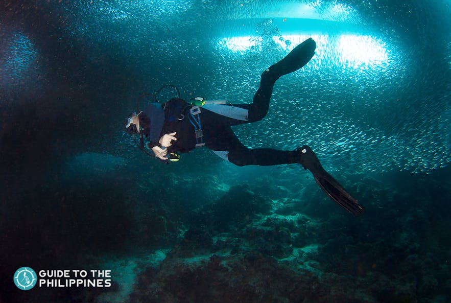 Diver exploring the rich marine life of Moalboal Island, Cebu